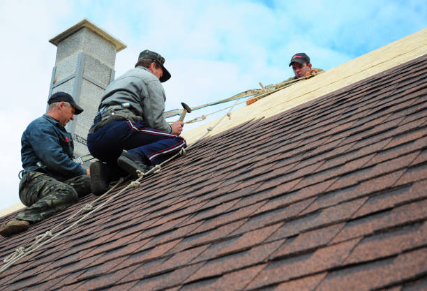 Best Roof Gutter Cleaning  in Wakefield, KS